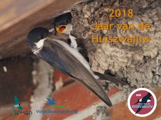 2018
Jaar van de
Huiszwaluw
Foto:BertusWebbink
 