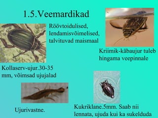 1.5.Veemardikad Kollaserv-ujur.30-35 mm, võimsad ujujalad Kriimik-käbaujur tuleb hingama veepinnale Kukriklane.5mm. Saab nii lennata, ujuda kui ka sukelduda Ujurivastne. Röövtoidulised, lendamisvõimelised, talvituvad maismaal 