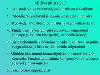 Millest alustada ? Alustada võiks varasuvel, kui elustik on rikkalikum Moodustada rühmad ja jagada ülesanded rühmades: Koostada järve üldiseloomustus ja skemaatiline kaart  Püüda vees ja veetaimedel elutsevaid selgrootuid kahvaga ja asetada klaaspurki , vaadelda luubiga 3. Tõsta põhjamuda kaldataimede vahelt, kallata sisu puhta veega nõusse ja lasta settida, otsida selgrootuid 4. Märkida üles tuntud loomaliigid, kanda nende asukoht skeemile. Tundmatud määrata kohapeal või võtta kaasa edasiseks määramiseks 5. Teha fotosid õppekäigust 