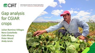 Julian Ramirez-Villegas
Nora Castañeda
Colin Khoury
Peter Wenzl
Andy Jarvis
Gap analysis
for CGIAR
crops
 