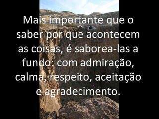 Mais importante que o
saber por que acontecem
as coisas, é saborea-las a
fundo: com admiração,
calma, respeito, aceitação
e agradecimento.
 