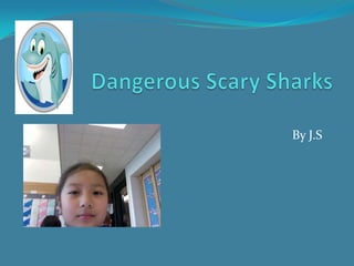 Dangerous Scary Sharks By J.S 
