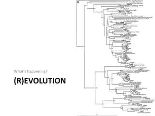 (R)EVOLUTION
What's happening?
 