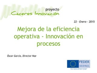 Mejora de la eficiencia
operativa - Innovación en
procesos
Óscar García, Director Nae
22 – Enero - 2015
 