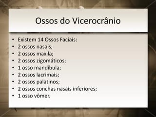 Ossos do Vicerocrânio
• Existem 14 Ossos Faciais:
• 2 ossos nasais;
• 2 ossos maxila;
• 2 ossos zigomáticos;
• 1 osso mandíbula;
• 2 ossos lacrimais;
• 2 ossos palatinos;
• 2 ossos conchas nasais inferiores;
• 1 osso vômer.
 