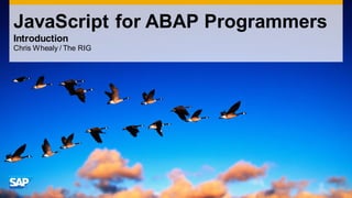 JavaScript for ABAP Programmers
Introduction
Chris Whealy / The RIG

 