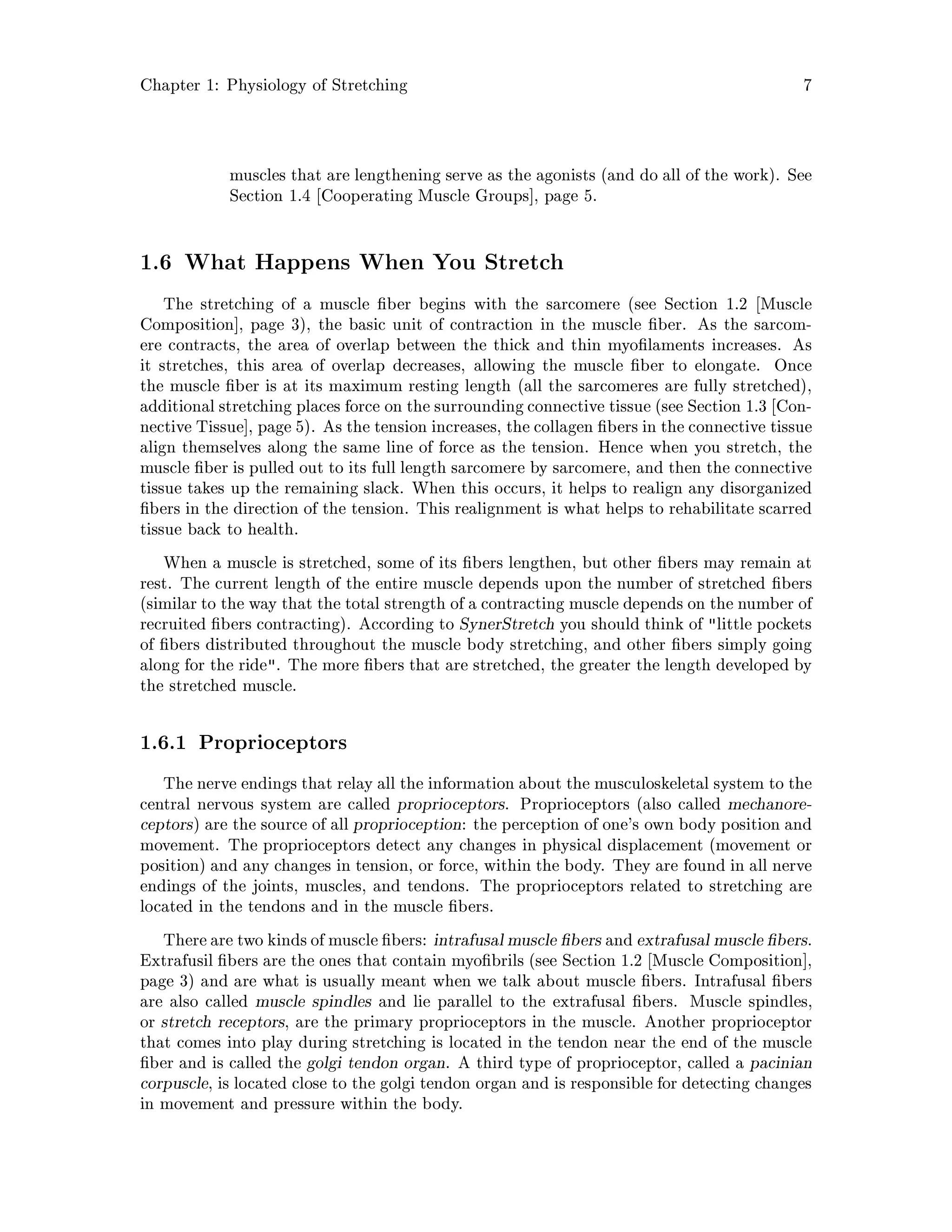 Chapter 1: Physiology of Stretching 7
muscles that are lengthening serve as the agonists and do all of the work. See
Section 1.4 Cooperating Muscle Groups , page 5.
1.6 What Happens When You Stretch
The stretching of a muscle ber begins with the sarcomere see Section 1.2 Muscle
Composition , page 3, the basic unit of contraction in the muscle ber. As the sarcom-
ere contracts, the area of overlap between the thick and thin myo laments increases. As
it stretches, this area of overlap decreases, allowing the muscle ber to elongate. Once
the muscle ber is at its maximum resting length all the sarcomeres are fully stretched,
additional stretching places force on the surrounding connective tissue see Section 1.3 Con-
nective Tissue , page 5. As the tension increases, the collagen bers in the connective tissue
align themselves along the same line of force as the tension. Hence when you stretch, the
muscle ber is pulled out to its full length sarcomere by sarcomere, and then the connective
tissue takes up the remaining slack. When this occurs, it helps to realign any disorganized
bers in the direction of the tension. This realignment is what helps to rehabilitate scarred
tissue back to health.
When a muscle is stretched, some of its bers lengthen, but other bers may remain at
rest. The current length of the entire muscle depends upon the number of stretched bers
similar to the way that the total strength of a contracting muscle depends on the number of
recruited bers contracting. According to SynerStretch you should think of little pockets
of bers distributed throughout the muscle body stretching, and other bers simply going
along for the ride. The more bers that are stretched, the greater the length developed by
the stretched muscle.
1.6.1 Proprioceptors
The nerve endings that relay all the information about the musculoskeletal system to the
central nervous system are called proprioceptors. Proprioceptors also called mechanore-
ceptors are the source of all proprioception: the perception of one's own body position and
movement. The proprioceptors detect any changes in physical displacement movement or
position and any changes in tension, or force, within the body. They are found in all nerve
endings of the joints, muscles, and tendons. The proprioceptors related to stretching are
located in the tendons and in the muscle bers.
There are two kindsof muscle bers: intrafusalmuscle bers and extrafusal muscle bers.
Extrafusil bers are the ones that contain myo brils see Section 1.2 Muscle Composition ,
page 3 and are what is usually meant when we talk about muscle bers. Intrafusal bers
are also called muscle spindles and lie parallel to the extrafusal bers. Muscle spindles,
or stretch receptors, are the primary proprioceptors in the muscle. Another proprioceptor
that comes into play during stretching is located in the tendon near the end of the muscle
ber and is called the golgi tendon organ. A third type of proprioceptor, called a pacinian
corpuscle, is located close to the golgi tendon organ and is responsible for detecting changes
in movement and pressure within the body.
 