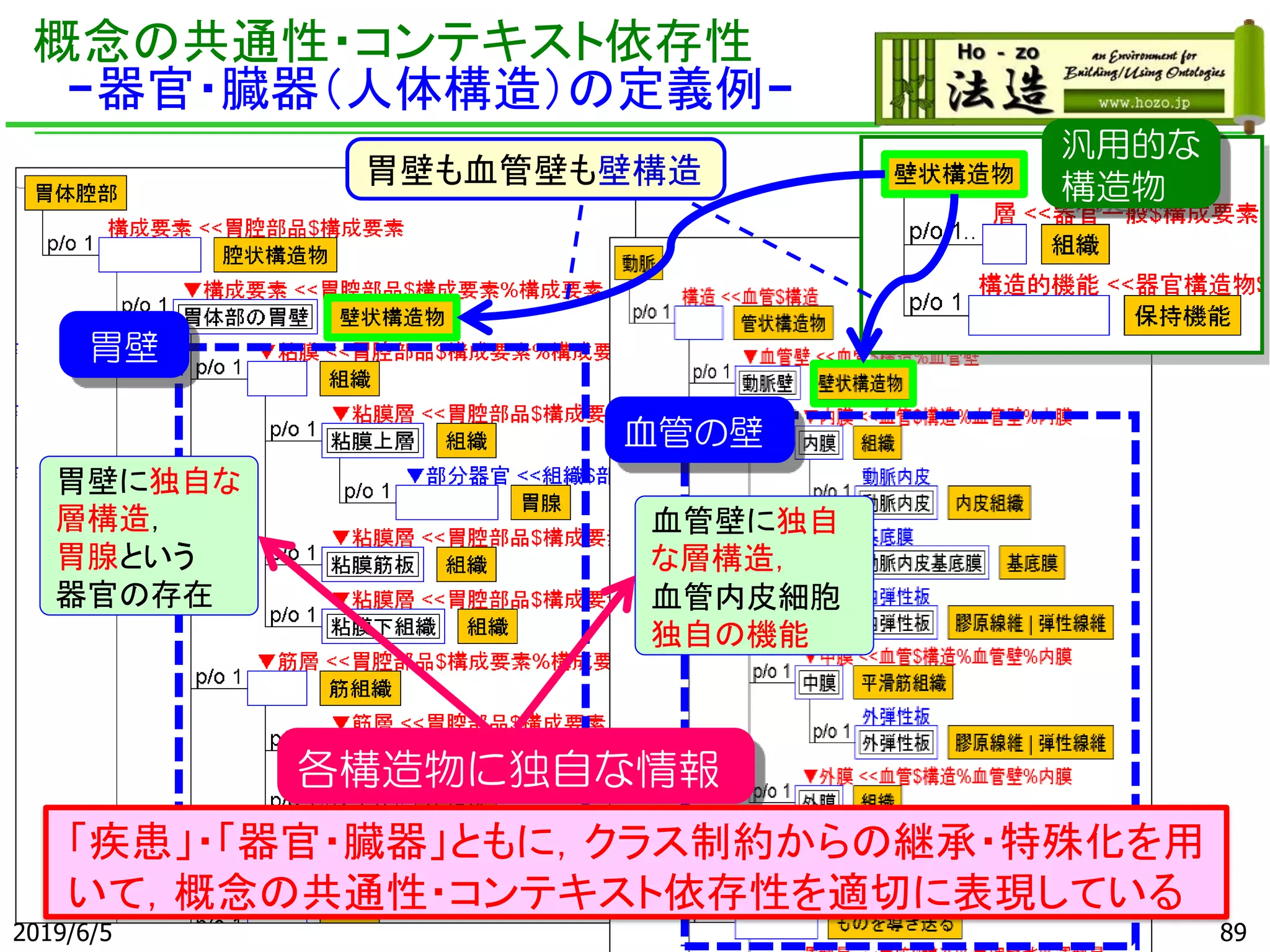 血管壁に独自
な層構造，
血管内皮細胞
独自の機能
概念の共通性・コンテキスト依存性
-器官・臓器（人体構造）の定義例-
汎用的な
構造物胃壁も血管壁も壁構造
胃壁に独自な
層構造，
胃腺という
器官の存在
各構造物に独自な情報
胃壁
血管の壁
「疾患」・「器官・臓器」ともに，クラス制約からの継承・特殊化を用
いて，概念の共通性・コンテキスト依存性を適切に表現している
2019/6/5 89
 