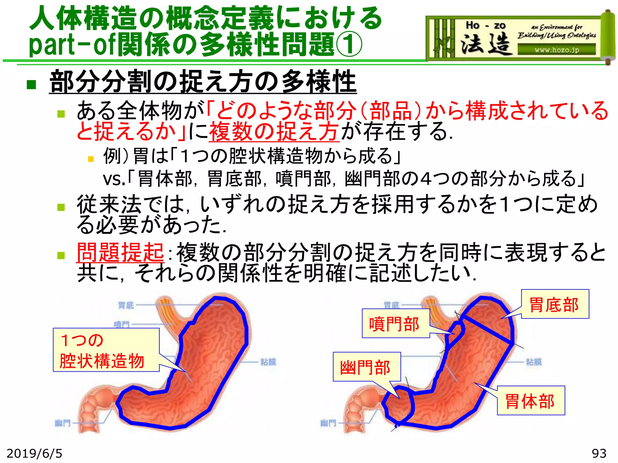 人体構造の概念定義における
part-of関係の多様性問題①
◼ 部分分割の捉え方の多様性
◼ ある全体物が「どのような部分（部品）から構成されている
と捉えるか」に複数の捉え方が存在する．
◼ 例）胃は「１つの腔状構造物から成る」
vs.「胃体部，胃底部，噴門部，幽門部の４つの部分から成る」
◼ 従来法では，いずれの捉え方を採用するかを１つに定め
る必要があった．
◼ 問題提起：複数の部分分割の捉え方を同時に表現すると
共に，それらの関係性を明確に記述したい．
１つの
腔状構造物
胃体部
胃底部
噴門部
幽門部
2019/6/5 93
 