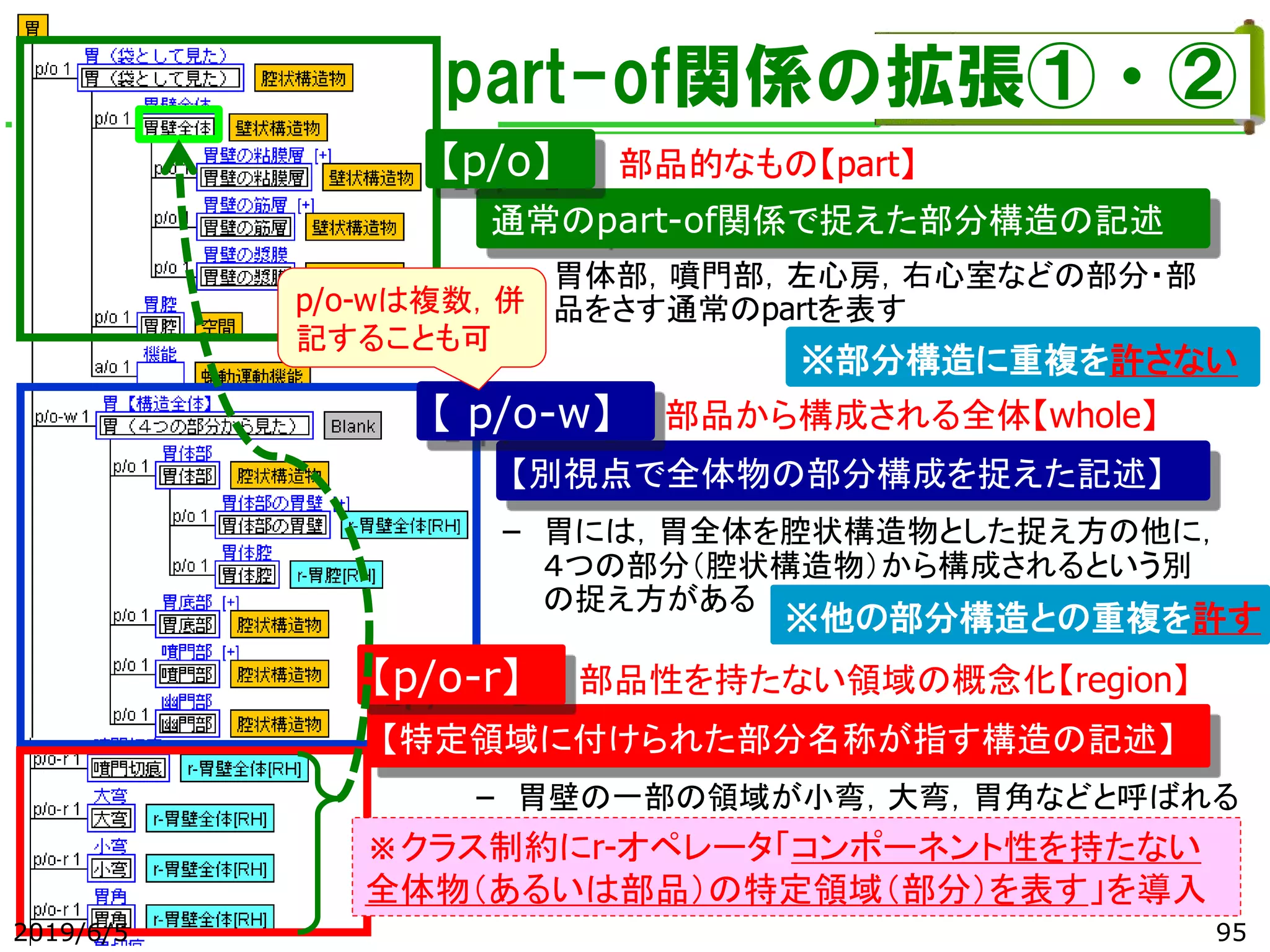 – 胃壁の一部の領域が小弯，大弯，胃角などと呼ばれる
part-of関係の拡張①・②
【別視点で全体物の部分構成を捉えた記述】
通常のpart-of関係で捉えた部分構造の記述
【 p/o-w】
【p/o】
【特定領域に付けられた部分名称が指す構造の記述】
※部分構造に重複を許さない
※他の部分構造との重複を許す
– 胃体部，噴門部，左心房，右心室などの部分・部
品をさす通常のpartを表す
部品的なもの【part】
部品から構成される全体【whole】
– 胃には，胃全体を腔状構造物とした捉え方の他に，
４つの部分（腔状構造物）から構成されるという別
の捉え方がある
部品性を持たない領域の概念化【region】【p/o-r】
※クラス制約にr-オペレータ「コンポーネント性を持たない
全体物（あるいは部品）の特定領域（部分）を表す」を導入
p/o-wは複数，併
記することも可
2019/6/5 95
 