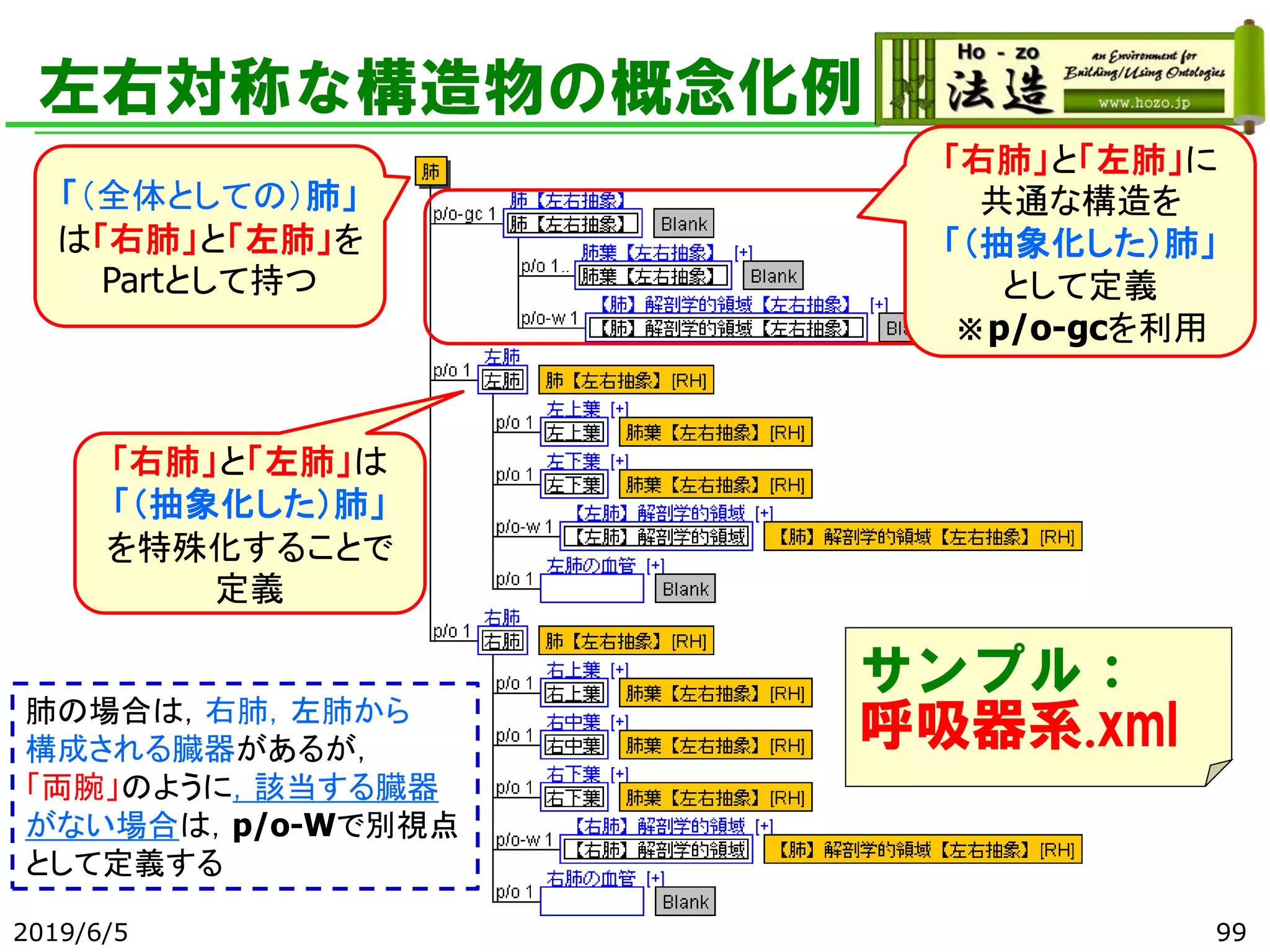 左右対称な構造物の概念化例
2019/6/5 99
「（全体としての）肺」
は「右肺」と「左肺」を
Partとして持つ
「右肺」と「左肺」に
共通な構造を
「（抽象化した）肺」
として定義
※p/o-gcを利用
「右肺」と「左肺」は
「（抽象化した）肺」
を特殊化することで
定義
肺の場合は，右肺，左肺から
構成される臓器があるが，
「両腕」のように，該当する臓器
がない場合は，p/o-Wで別視点
として定義する
サンプル：
呼吸器系.xml
 