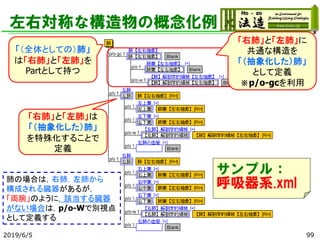 左右対称な構造物の概念化例
2019/6/5 99
「（全体としての）肺」
は「右肺」と「左肺」を
Partとして持つ
「右肺」と「左肺」に
共通な構造を
「（抽象化した）肺」
として定義
※p/o-gcを利用
「右肺」と「左肺」は
「（抽象化した）肺」
を特殊化することで
定義
肺の場合は，右肺，左肺から
構成される臓器があるが，
「両腕」のように，該当する臓器
がない場合は，p/o-Wで別視点
として定義する
サンプル：
呼吸器系.xml
 