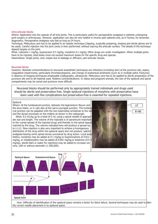 Intra-articular blocks
Where: Application into the capsule of all limb joints. This is particularly useful for perioperative analgesia in patients undergoing
joint surgery or arthroscopy. However, application can also be very helpful in chronic pain patients and, as in horses, for lameness
diagnostics. Perioperative analgesia may last as long as 24 hours.
Technique: Meticulous care has to be applied to an aseptic technique (clipping, surgically preparing, draping and sterile gloves are to
be used). Careful injection into the joint cavity is then performed, without injuring the articular surface. The details of the technique
depend largely on the joint.
What: Lidocaine 1 mg/kg, bupivacaine 0·5 mg/kg, morphine 0·1 mg/kg. Other drugs are under investigation. When multiple joints
have to be injected, total doses must not exceed maximum doses for the specific drug and species.
Desensitizes: Single joints, and, maybe due to leakage or diffusion, peri-articular tissues.
Neuraxial blocks
Cautions: Absolute contraindications to neuraxial anaesthetic techniques are infections (including skin) at the puncture site, sepsis,
coagulation impairments, particularly thrombocytopenia, and change of anatomical landmarks (such as in multiple pelvic fractures)
in absence of imaging techniques employable (radiography, ultrasound). Meticulous care has to be applied to sterile preparation of the
puncture site and to all material used. Relative contraindications: In obese and pregnant animals, the size of the epidural and spinal
compartments may be varied and puncture more difficult.
Neuraxial blocks should be performed only by appropriately trained individuals and drugs used
should be sterile and preservative free. Single epidural injections of morphine with preservative have
been used with few complications but preservative-free is essential for repeated injections.
Epidural
Where: At the lumbosacral junction, between the ligamentum flavum and
the dura mater, or in cats also at the sacro-coccigeal junction. The lumbosa-
cral junction can be palpated with the two tuberositas ischiaticae to the sides
and the dorsal processes on the midline as shown in the radiograph.
What: 0·2 mL/kg up to a total of 6 mL using a spinal needle of appropri-
ate size and length. The volume of the injectate is of paramount importance
to the cranial spread of the injected drugs and thereby to the spinal segments
reached by the drug. The volume indicated here will produce a spread up
to L1-L2. Slow injection is also very important to achieve a homogenous
distribution of the drug within the epidural space and not produce ‘patchy’
analgesia leaving some spinal nerves uncovered by drug action. Local anaes-
thetics; morphine may be added at 0·1 mg/kg or buprenorphine at 0·012
mg/kg, or medetomidine may be added at 0·001 mg/kg,or ketamine (0·4–2
mg/kg), sterile NaCl or water for injections may be added to increase vol-
ume, with or without adrenalin (1:200,000).
Cat Cat
How: Difficulty of identification of the epidural space remains a factor for block failure. Several techniques may be used to iden-
tify correct needle placement in to epidural space:
40 Journal of Small Animal Practice © 2014 WSAVA
 