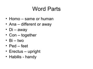 Word Parts
• Homo – same or human
• Ana – different or away
• Di – away
• Con – together
• Bi – two
• Ped – feet
• Erectus – upright
• Habilis - handy
 