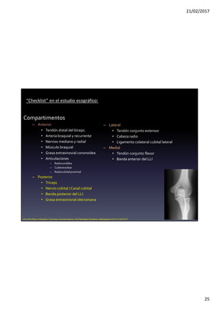 21/02/2017
25
Compartimentos
– Anterior
• Tendón distal del bíceps.
• Arteria braquial y recurrente
• Nervios mediano y radial
• Músculo braquial
• Grasa extrasinovial coronoidea
• Articulaciones
– Radiocondilea
– Cubitotroclear
– Radiocubitalproximal
– Posterior
• Tríceps
• Nervio cubital / Canal cubital
• Banda posterior del LLI
• Grasa extrasinovial olecraniana
– Lateral
• Tendón conjunto extensor
• Cabeza radio
• Ligamento colateral cubital lateral
– Medial
• Tendón conjunto flexor
• Banda anterior del LLI
US of the Elbow: Indications, Technique, Normal Anatomy, and Pathologic Conditions. Radiographics 2013. E125-E147
“Checklist” en el estudio ecográfico:
 