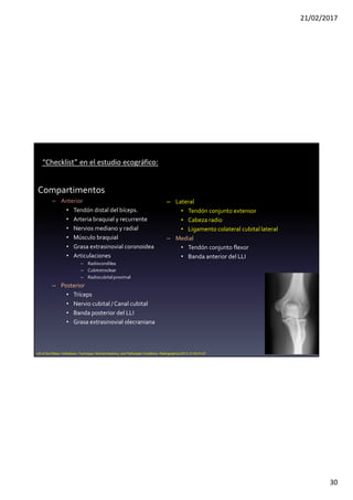 21/02/2017
30
Compartimentos
– Anterior
• Tendón distal del bíceps.
• Arteria braquial y recurrente
• Nervios mediano y radial
• Músculo braquial
• Grasa extrasinovial coronoidea
• Articulaciones
– Radiocondilea
– Cubitotroclear
– Radiocubitalproximal
– Posterior
• Tríceps
• Nervio cubital / Canal cubital
• Banda posterior del LLI
• Grasa extrasinovial olecraniana
– Lateral
• Tendón conjunto extensor
• Cabeza radio
• Ligamento colateral cubital lateral
– Medial
• Tendón conjunto flexor
• Banda anterior del LLI
US of the Elbow: Indications, Technique, Normal Anatomy, and Pathologic Conditions. Radiographics 2013. E125-E147
“Checklist” en el estudio ecográfico:
 