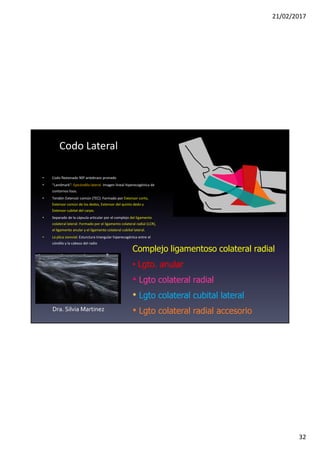 21/02/2017
32
Codo Lateral
• Codo flexionado 90º antebrazo pronado
• “Landmark”: Epicóndilo lateral Imagen lineal hiperecogénica de
contornos lisos.
• Tendón Extensór común (TEC): Formado por Extensor corto,
Extensor común de los dedos, Extensor del quinto dedo y
Extensor cubital del carpo.
• Separado de la cápsula articular por el complejo del ligamento
colateral lateral: Formado por el ligamento colateral radial (LCR),
el ligamento anular y el ligamento colateral cubital lateral.
• La plica sionvial: Esturctura triangular hiperecogénica entre el
cóndilo y la cabeza del radio
Complejo ligamentoso colateral radial
• Lgto. anular
• Lgto colateral radial
• Lgto colateral cubital lateral
• Lgto colateral radial accesorio
Dra. Silvia Martinez
 