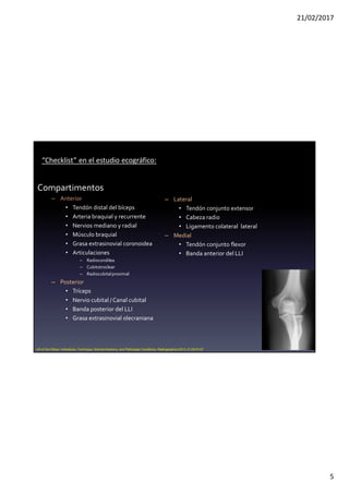 21/02/2017
5
Compartimentos
– Anterior
• Tendón distal del bíceps
• Arteria braquial y recurrente
• Nervios mediano y radial
• Músculo braquial
• Grasa extrasinovial coronoidea
• Articulaciones
– Radiocondilea
– Cubitotroclear
– Radiocubitalproximal
– Posterior
• Tríceps
• Nervio cubital / Canal cubital
• Banda posterior del LLI
• Grasa extrasinovial olecraniana
– Lateral
• Tendón conjunto extensor
• Cabeza radio
• Ligamento colateral lateral
– Medial
• Tendón conjunto flexor
• Banda anterior del LLI
US of the Elbow: Indications, Technique, Normal Anatomy, and Pathologic Conditions. Radiographics 2013. E125-E147
“Checklist” en el estudio ecográfico:
 