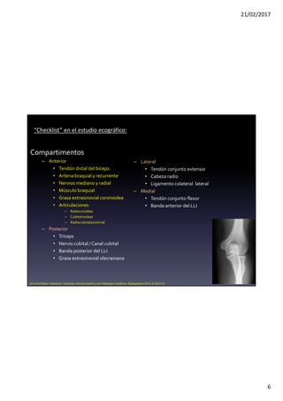 21/02/2017
6
Compartimentos
– Anterior
• Tendón distal del bíceps.
• Arteria braquial y recurrente
• Nervios mediano y radial
• Músculo braquial
• Grasa extrasinovial coronoidea
• Articulaciones
– Radiocondilea
– Cubitotroclear
– Radiocubitalproximal
– Posterior
• Tríceps
• Nervio cubital / Canal cubital
• Banda posterior del LLI
• Grasa extrasinovial olecraniana
– Lateral
• Tendón conjunto extensor
• Cabeza radio
• Ligamento colateral lateral
– Medial
• Tendón conjunto flexor
• Banda anterior del LLI
US of the Elbow: Indications, Technique, Normal Anatomy, and Pathologic Conditions. Radiographics 2013. E125-E147
“Checklist” en el estudio ecográfico:
 