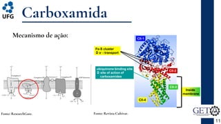 Carboxamida
11
Fonte: Revista Cultivar.
Mecanismo de ação:
Fonte: ResearchGate.
 