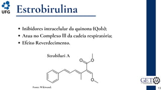 Inibidores intracelular da quinona (Qols);
Atua no Complexo lll da cadeia respiratória;
Efeito Reverdecimento.
Estrobirulina
13
Fonte: Wikiwand.
Strobiluri A
 