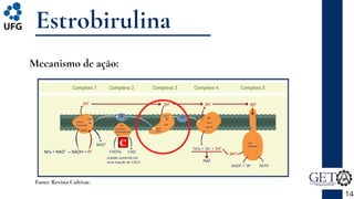 Estrobirulina
Mecanismo de ação:
14
Fonte: Revista Cultivar.
 