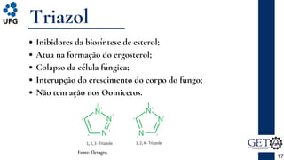 Triazol
Inibidores da biosíntese de esterol;
Atua na formação do ergosterol;
Colapso da célula fúngica;
Interupção do crescimento do corpo do fungo;
Não tem ação nos Oomicetos.
17
Fonte: Elevagro.
 