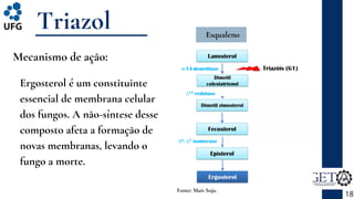 Ergosterol é um constituinte
essencial de membrana celular
dos fungos. A não-síntese desse
composto afeta a formação de
novas membranas, levando o
fungo a morte.
Triazol
18
Mecanismo de ação:
Fonte: Mais Soja.
Esqualeno
 
