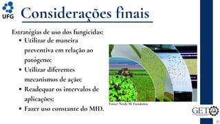 Utilizar de maneira
preventiva em relação ao
patógeno;
Utilizar diferentes
mecanismos de ação;
Readequar os intervalos de
aplicações;
Fazer uso constante do MID.
Considerações finais
21
Estratégias de uso dos fungicidas:
Fonte: Neide M. Furukawa.
 