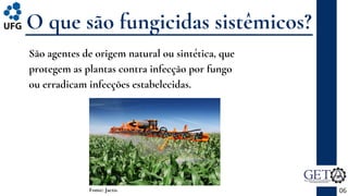 O que são fungicidas sistêmicos?
São agentes de origem natural ou sintética, que
protegem as plantas contra infecção por fungo
ou erradicam infecções estabelecidas.
06
Fonte: Jacto.
 