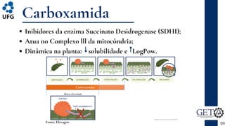 Carboxamida
Inibidores da enzima Succinato Desidrogenase (SDHI);
Atua no Complexo lll da mitocôndria;
Dinâmica na planta: solubilidade e LogPow.
09
Fonte: Elevagro.
 
