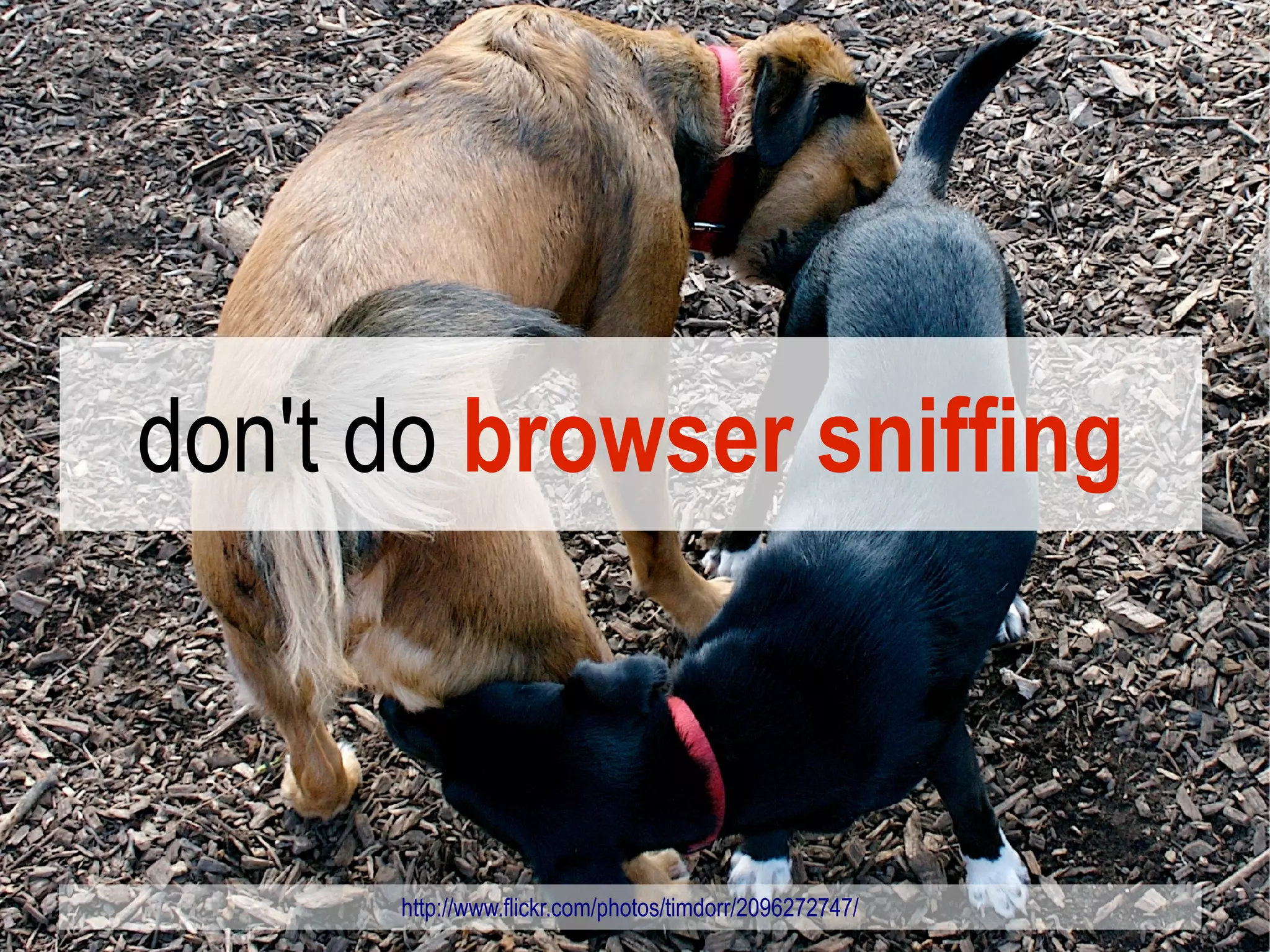 don't do browser sniffing



      http://www.flickr.com/photos/timdorr/2096272747/
 