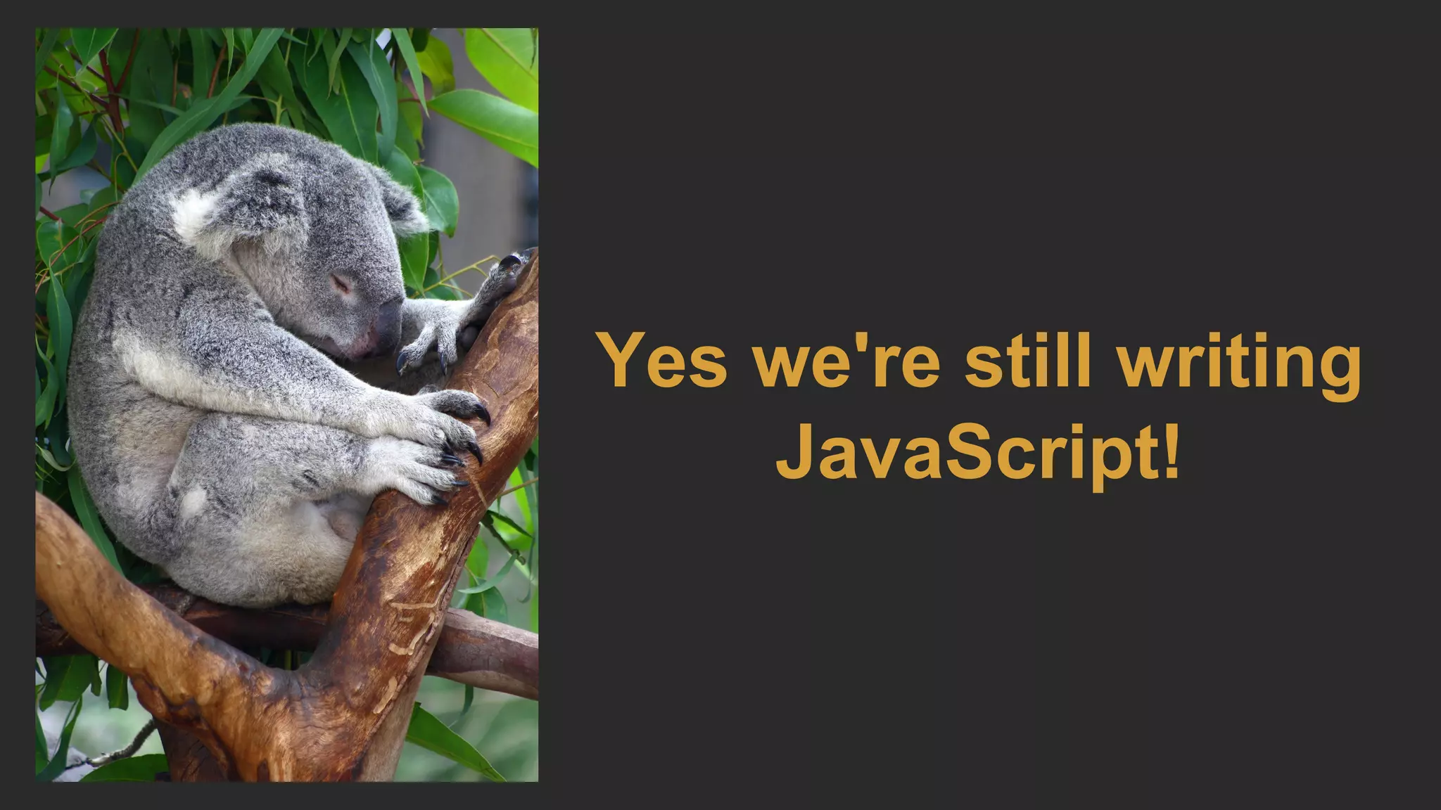 Yes we're still writing
JavaScript!
 