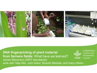 DNA fingerprinting of plant material
from farmers fields: What have we learned?
James Stevenson (ISPC Secretariat)
work with Talip Kilic, John Ilukor, Mywish Maredia, and many others...
 