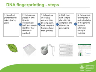 DNA fingerprinting of plant material from farmers fields:What have we ...