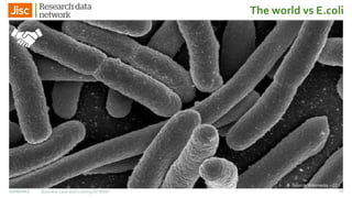 27/06/2017 Business Case and Costing for RDM
The world vs E.coli
Source: Wikimedia – CC0
27
 