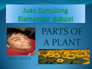 PARTS OF
A PLANT
MANUEL V. BRUDO JR
 