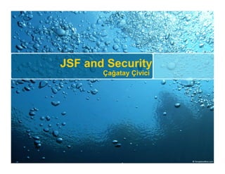 JSF and Security
       Çağatay Çivici
 