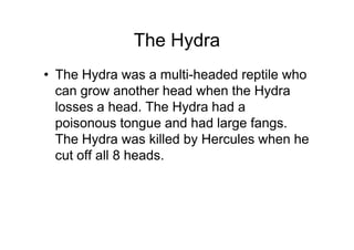 The Hydra
• The Hydra was a multi-headed reptile who
  can grow another head when the Hydra
  losses a head. The Hydra had a
  poisonous tongue and had large fangs.
  The Hydra was killed by Hercules when he
  cut off all 8 heads.
 