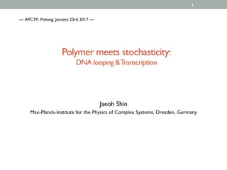 Polymer meets stochasticity:
DNA looping &Transcription
1
Jaeoh Shin
Max-Planck-Institute for the Physics of Complex Systems, Dresden, Germany
— APCTP, Pohang, January 23rd 2017 —
 