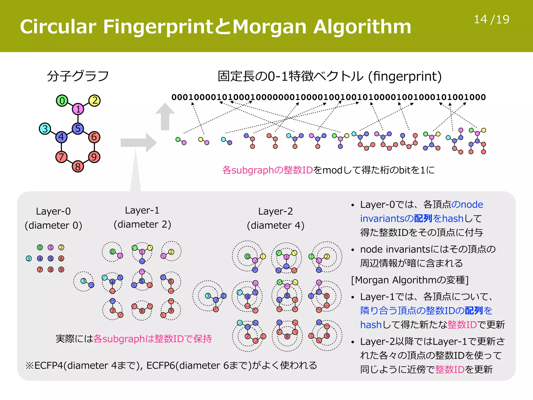 /1914
Circular FingerprintとMorgan Algorithm
00010000101000100000001000010010010100001001000101001000
分⼦グラフ 固定⻑の0-1特徴ベクトル (ﬁngerprint)
2
1
0
3
4
5
6
7
8
9
Layer-0  
(diameter 0)
Layer-1  
(diameter 2)
Layer-2  
(diameter 4)
• Layer-0では、各頂点のnode 
invariantsの配列をhashして 
得た整数IDをその頂点に付与
• node invariantsにはその頂点の 
周辺情報が暗に含まれる
[Morgan Algorithmの変種]
• Layer-1では、各頂点について、 
隣り合う頂点の整数IDの配列を 
hashして得た新たな整数IDで更新
• Layer-2以降ではLayer-1で更新さ 
れた各々の頂点の整数IDを使って 
同じように近傍で整数IDを更新
各subgraphの整数IDをmodして得た桁のbitを1に
※ECFP4(diameter 4まで), ECFP6(diameter 6まで)がよく使われる
0 1 2
3 4 5 6
7 8 9
0 1 2
3 4 5 6
7 8 9
3
0
4
7
1
5
8
2
6
9
実際には各subgraphは整数IDで保持
 
