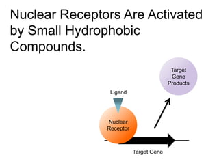 Nuclear Receptors Are Activated
by Small Hydrophobic
Compounds.
Target Gene
Target
Gene
Products
Nuclear
Receptor
Ligand
 