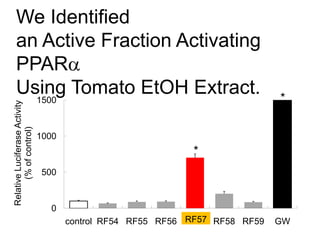 0
500
1000
1500
control RF54 RF55 RF56 RF57 RF58 RF59 GW
RelativeLuciferaseActivity
(%ofcontrol)
RF57
*
*
We Identified
an Active Fraction Activating
PPARa
Using Tomato EtOH Extract.
 