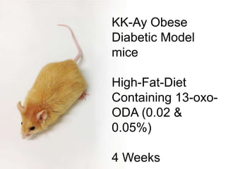 KK-Ay Obese
Diabetic Model
mice
High-Fat-Diet
Containing 13-oxo-
ODA (0.02 &
0.05%)
4 Weeks
 