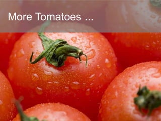 More Tomatoes ...
 