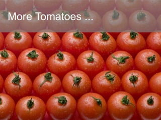 More Tomatoes ...
 