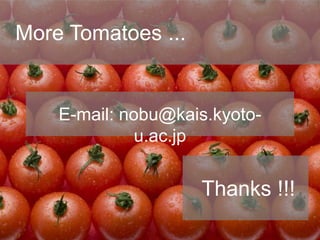 More Tomatoes ...
Thanks !!!
E-mail: nobu@kais.kyoto-
u.ac.jp
 