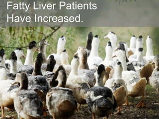 Fatty Liver Patients
Have Increased.
 