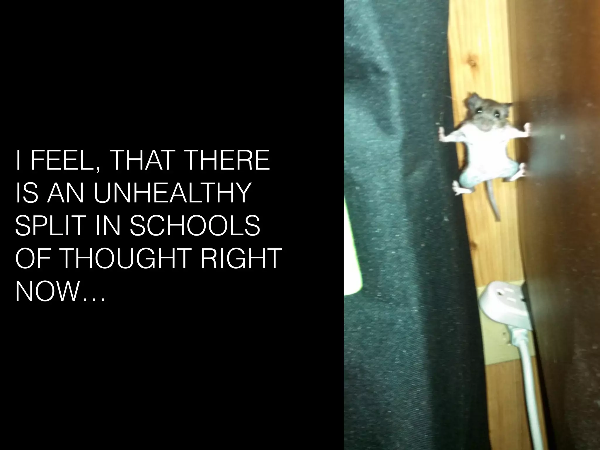 I FEEL, THAT THERE
IS AN UNHEALTHY
SPLIT IN SCHOOLS
OF THOUGHT RIGHT
NOW…
 