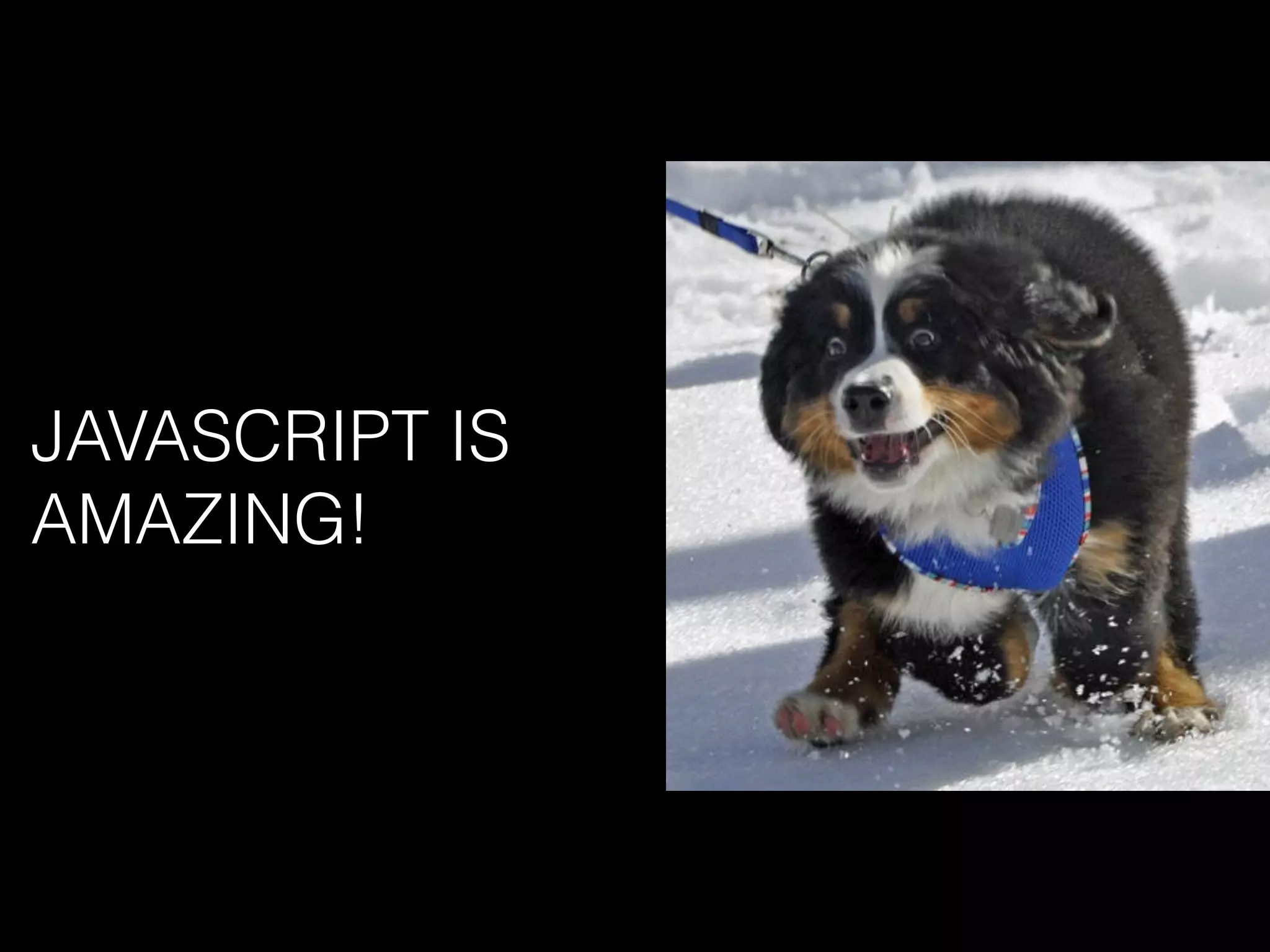 JAVASCRIPT IS
AMAZING!
 